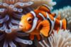 Picture of Hand Made Wallpaper 3D Mural ai generated clownfish fish nature aquarium underwater sea coral anemone 