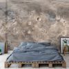 Picture of Hand Made Wallpaper 3D Mural map ceres planet moon space brown moon