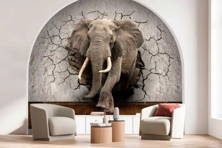 Picture for category Wall Murals With Elephants