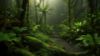 Picture of Hand Made Wallpaper Tropical Rainforest Forest In With Mossy Leaves